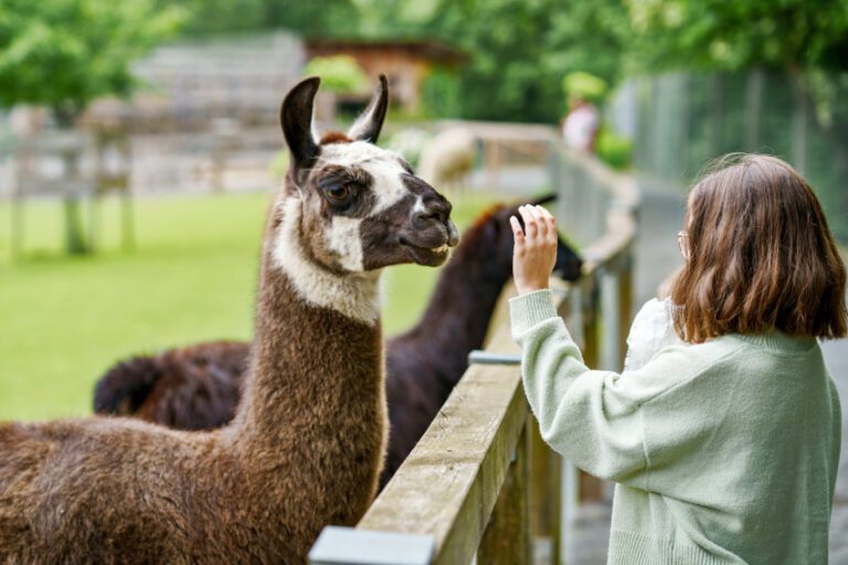 Umschulung Tierpfleger/-in: Quereinstieg in die Arbeit mit Tieren